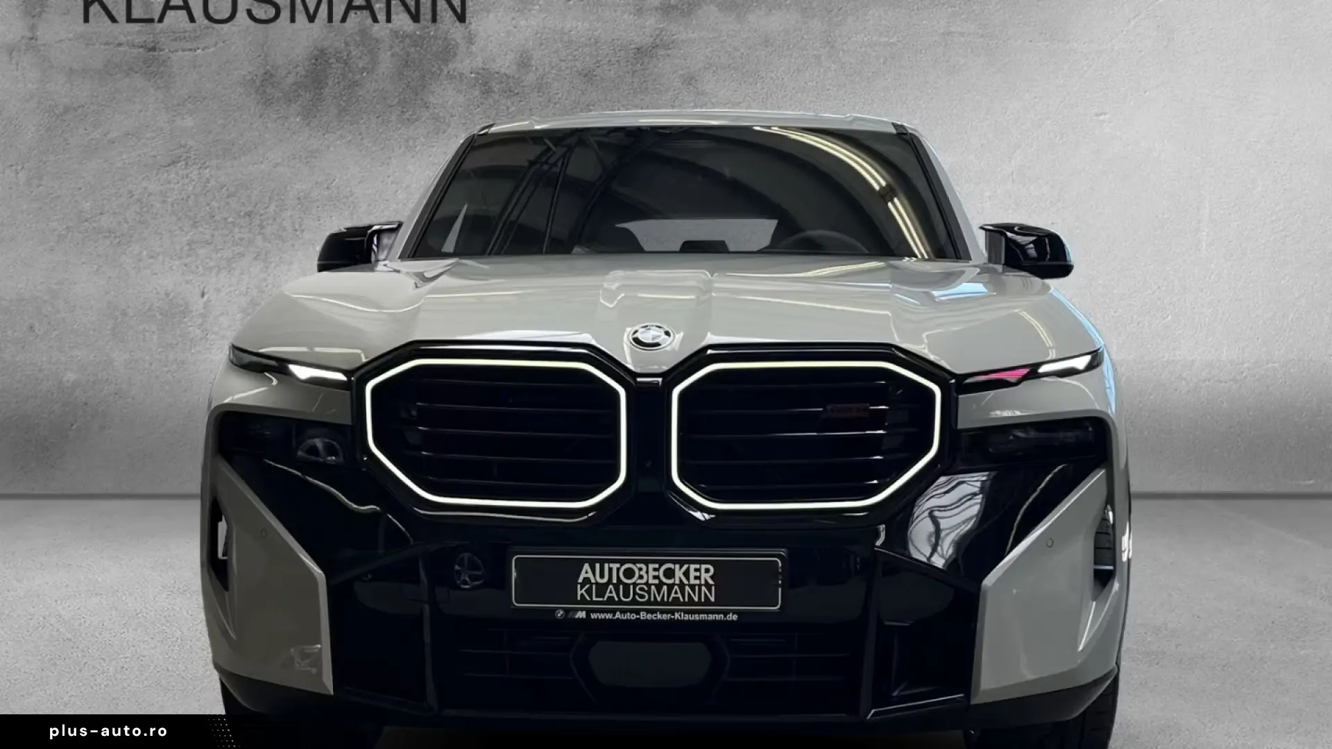 BMW XM Label LMR 23'' AD AHK-klappbar Navi Digitales