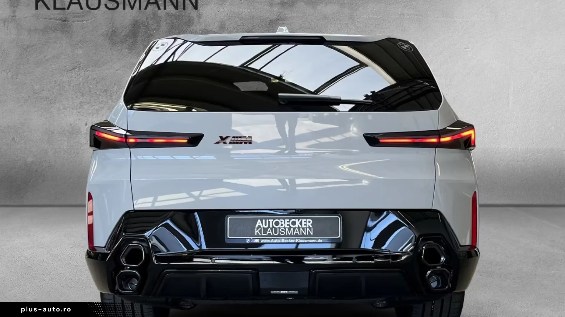 BMW XM Label LMR 23'' AD AHK-klappbar Navi Digitales