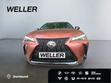 LEXUS UX 300h E-FOUR F SPORT  LED 360  GSD Levinson SH