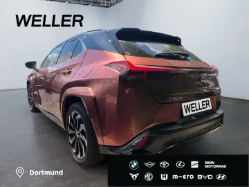LEXUS UX 300h E-FOUR F SPORT  LED 360  GSD Levinson SH