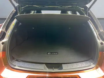 LEXUS UX 300h E-FOUR F SPORT  LED 360  GSD Levinson SH