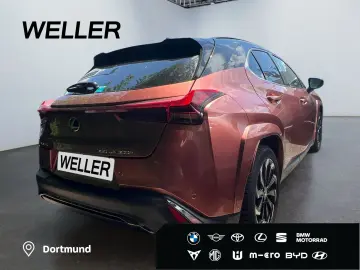 LEXUS UX 300h E-FOUR F SPORT  LED 360  GSD Levinson SH