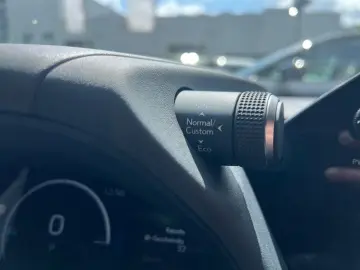 LEXUS UX 300h E-FOUR F SPORT  LED 360  GSD Levinson SH
