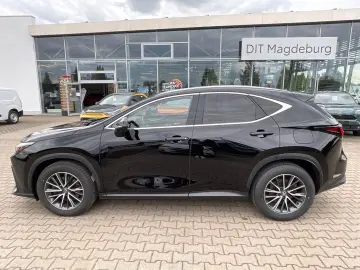 LEXUS NX 450h  E-Four Ventilation 360 Memory