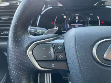 LEXUS NX 350h E-FOUR F Sport Ventilation 360 Memory Matrix