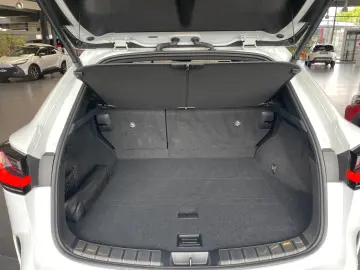 LEXUS NX450h E-Four F-Sport Ventilation Matrix 360 Memory