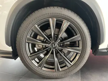 LEXUS NX450h E-Four F-Sport Ventilation Matrix 360 Memory