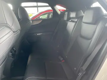 LEXUS NX450h E-Four F-Sport Ventilation Matrix 360 Memory