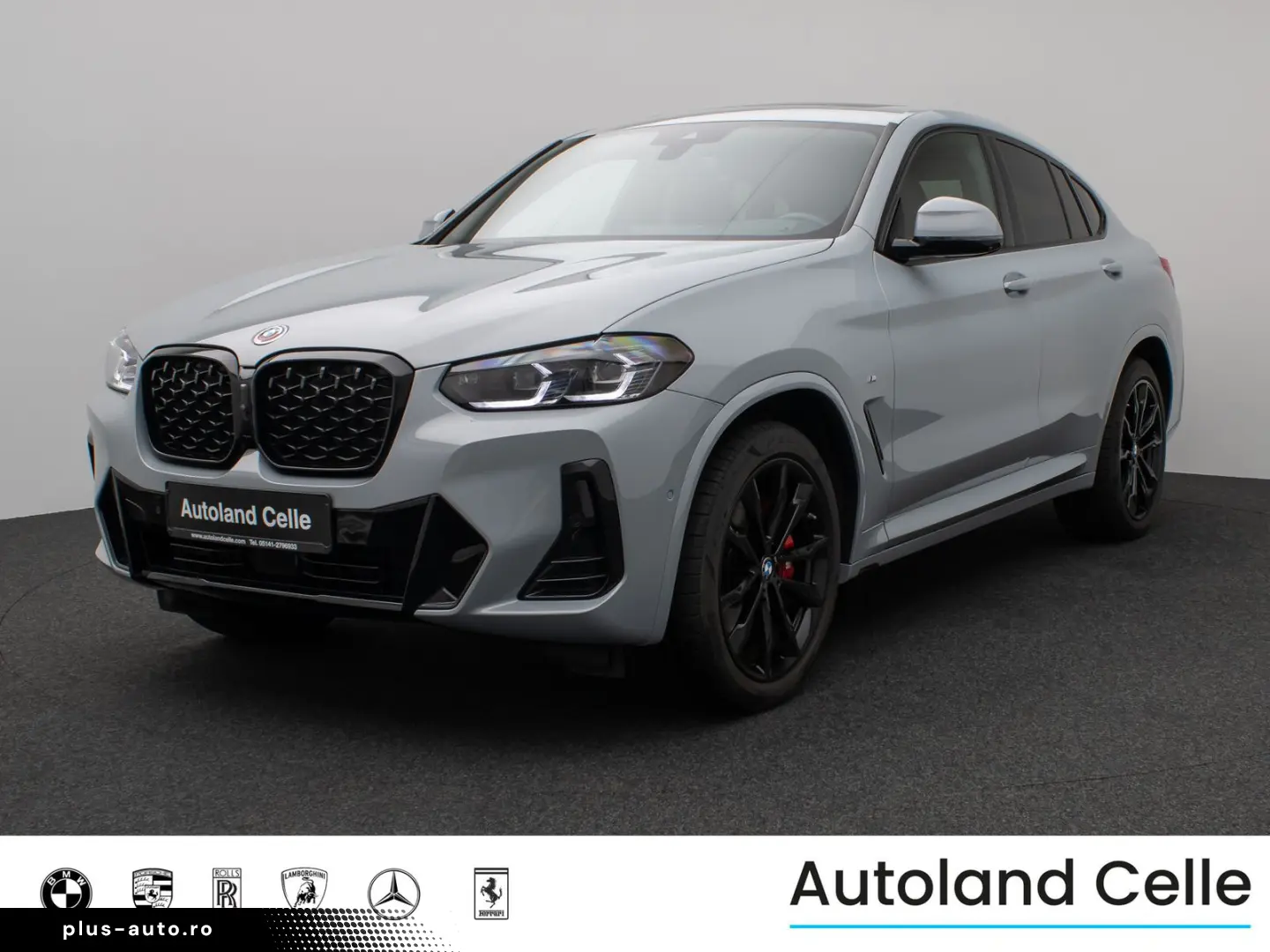 BMW X4 xD30i M Sport Panorama 360 DAB H K AHK Komfor
