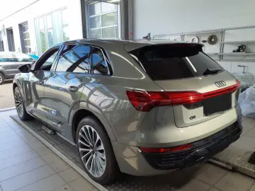 AUDI Audi Q8 advanced 50 e-tron quattro B&O Matrix Lu