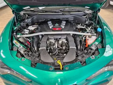 ALFA ROMEO Stelvio Quadrifoglio Q4 Leder ACC 21  Panoramada