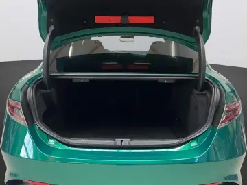 ALFA ROMEO Giulia 2.9 V6 Bi-Turbo Quadrifoglio