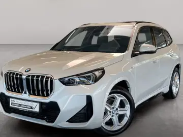 BMW X1 xDrive20d M Sport Driv.Assist.Prof Harman K