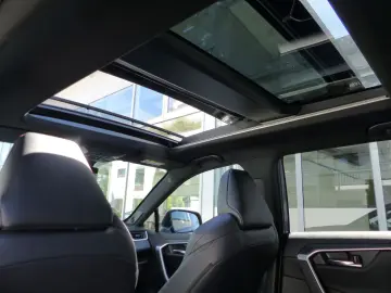 TOYOTA RAV4 Plug-in 4x4 Komfort-&Techpaket Schiebedach