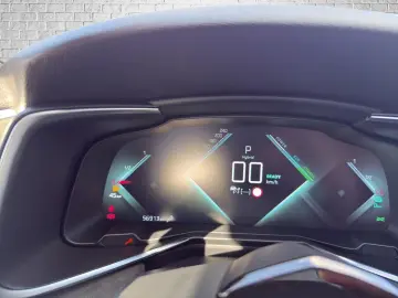 DS DS9 E-Tense 225 1 6 EAT8  Performance Line Navi