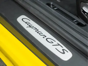 PORSCHE 718 Cayman GTS 4.0 - PDK - PASM - 18-Wegstoelen