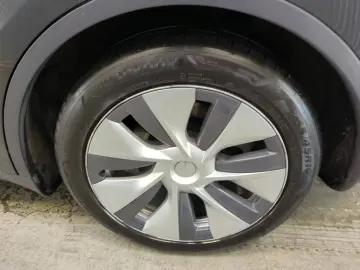 TESLA Model Y Standard RWD Plus 351pk [ LFP ACCU AUTOP
