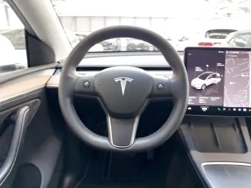 TESLA Model Y Dual AWD MAX Reichweite ACC 360