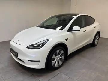 TESLA Model Y AWD WäPu CAM LED Pano