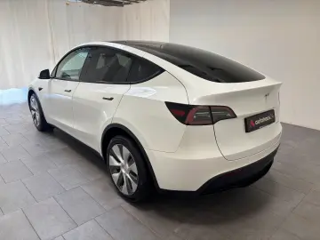 TESLA Model Y AWD WäPu CAM LED Pano