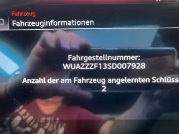 AUDI RSQ8 performance 4.0 TFSI  Sthzg HUD Panoram 23
