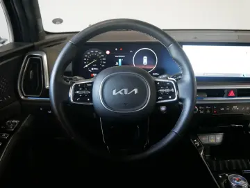 KIA Sorento Platinum 4WD voll 7 Sitzer FL