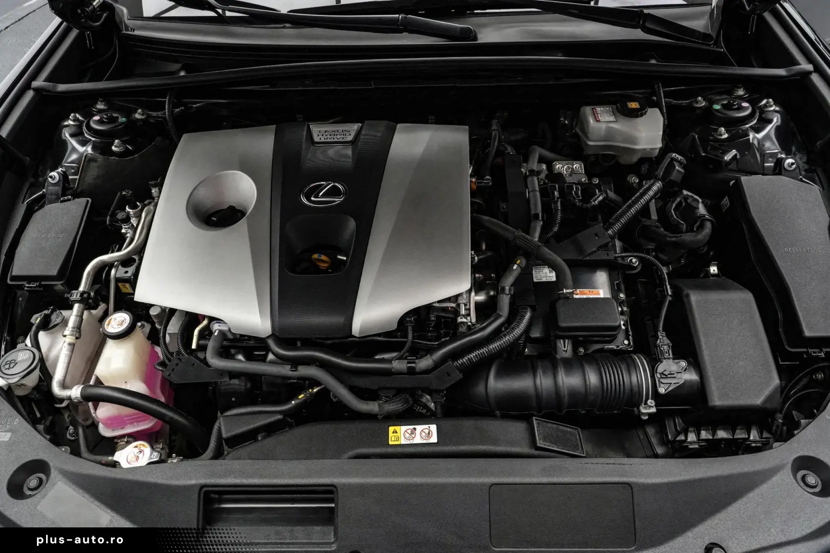 LEXUS Other 2020 — imagine 24