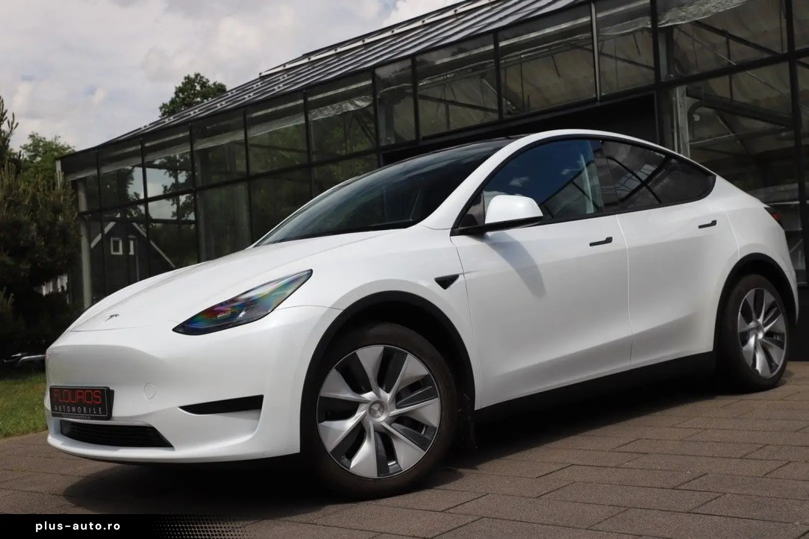 TESLA Model Y Basis RWD