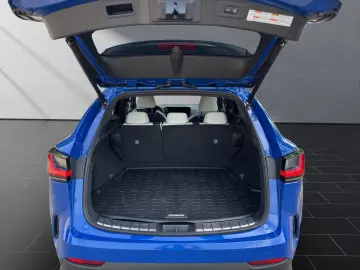 LEXUS NX 450h 450 h  F-Sport  AHK