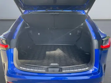 LEXUS NX 450h  E-FOUR F SPORT-Paket  360  HUD Leder AC