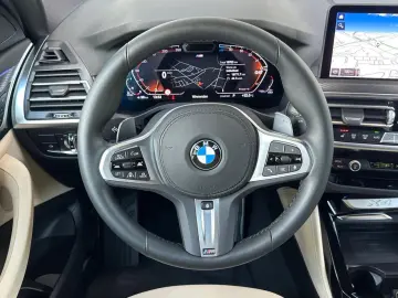 BMW X4 x20d M Sport ACC Lenkradh.SurView HiFi AHK20