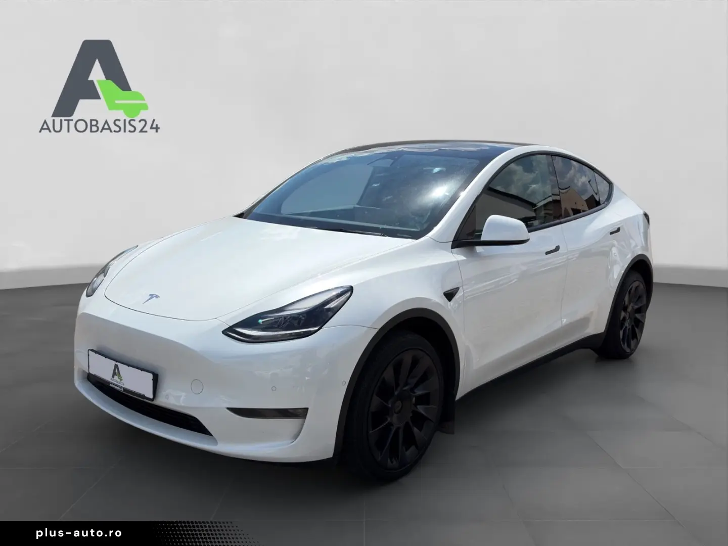 TESLA Model Y Long Range Dual AWD  1.Hand Shanghai