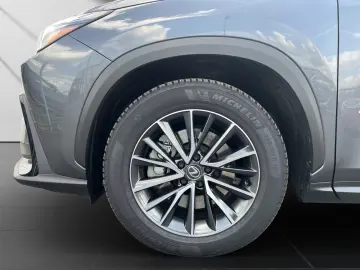Lexus NX450h Executive Pano