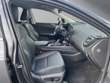 Lexus NX450h Executive Pano