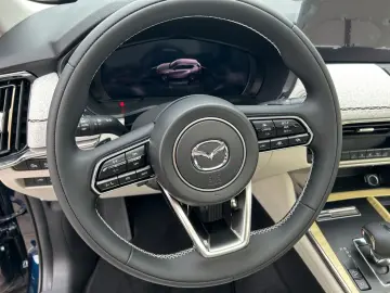 MAZDA CX-60 Diesel Automatik AWD 254PS Takumi Plus