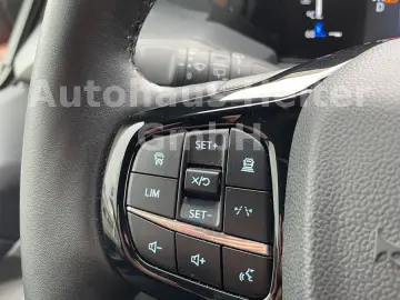 FORD Tourneo Custom Automatik L2 Trend  AHK ACC