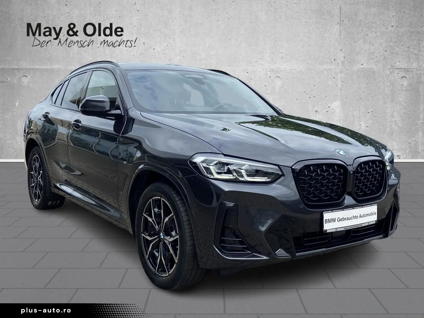 BMW X4 xDrive30d M Sport StandHZG Pano Navi HiFi