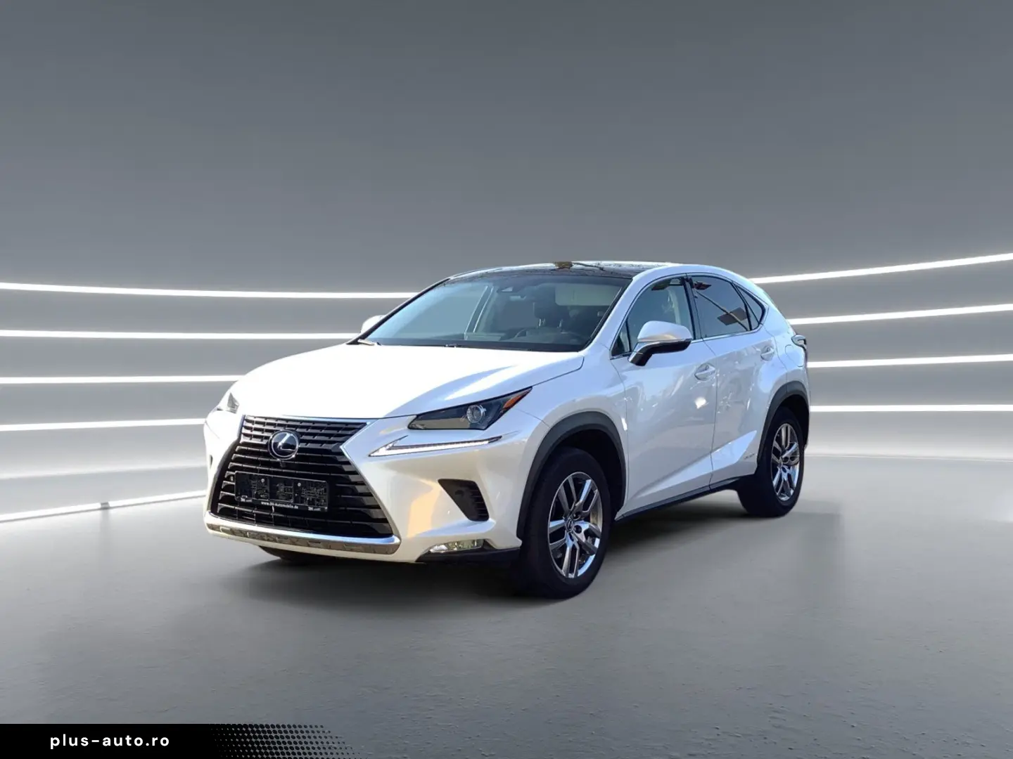 LEXUS NX 300H E-FOUR EXECUTIVE LINE 2xKlima AUT LM