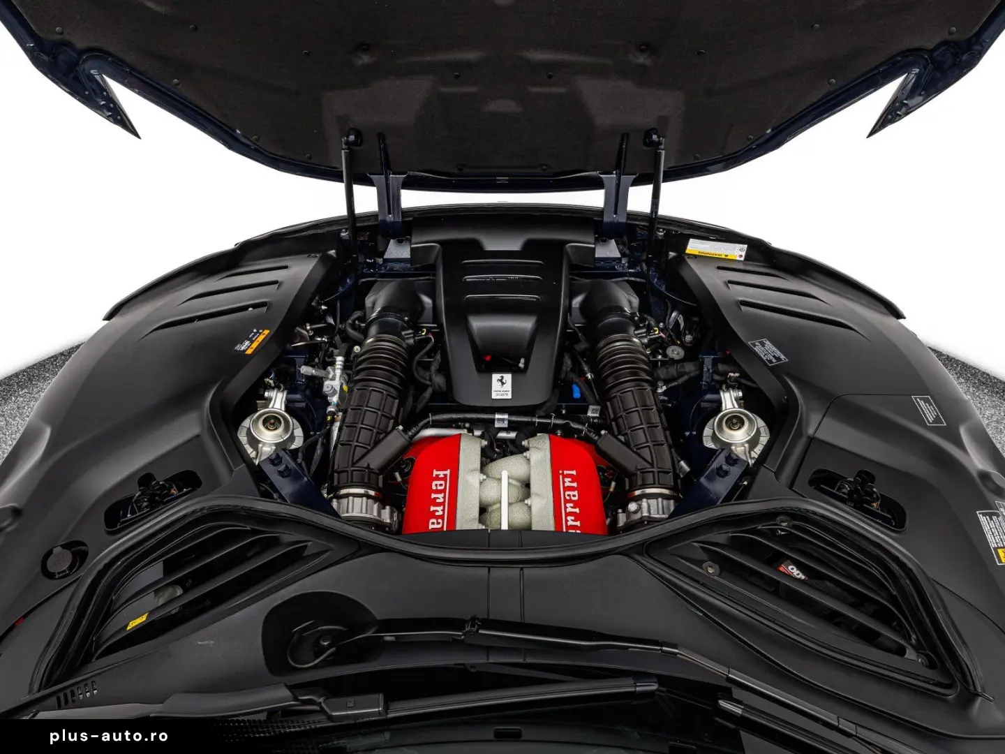 FERRARI Purosangue