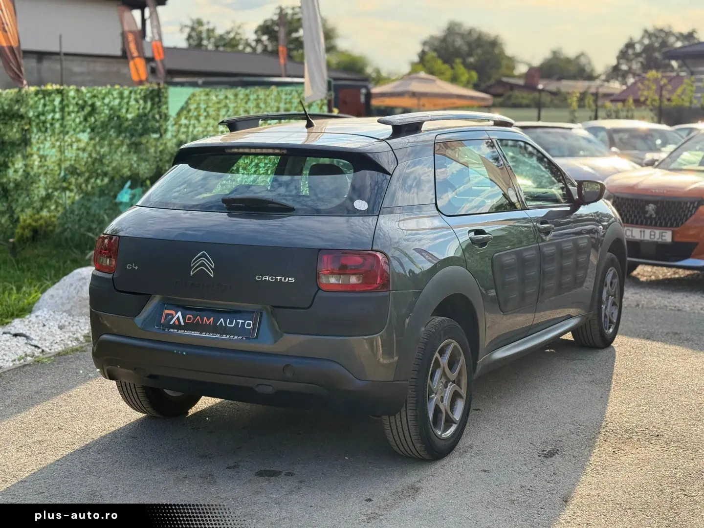 Citroen C4 Cactus  1.2 benzina