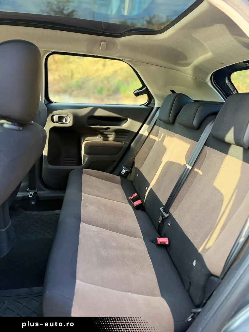 Citroen C4 Cactus  1.2 benzina