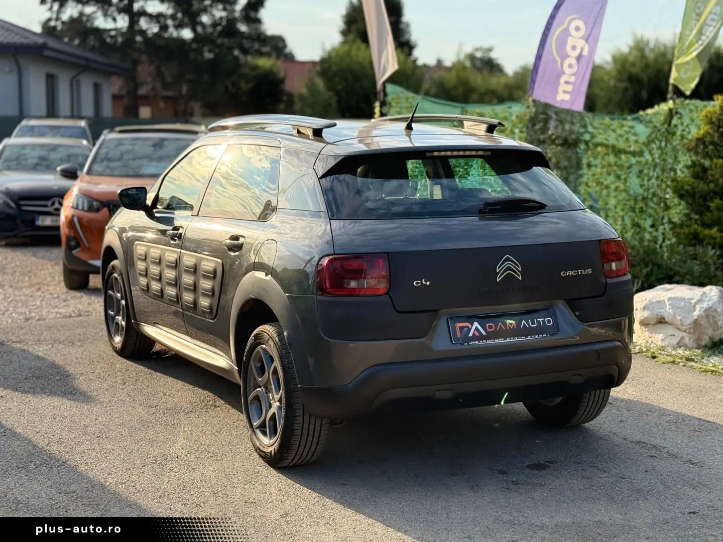 Citroen C4 Cactus  1.2 benzina