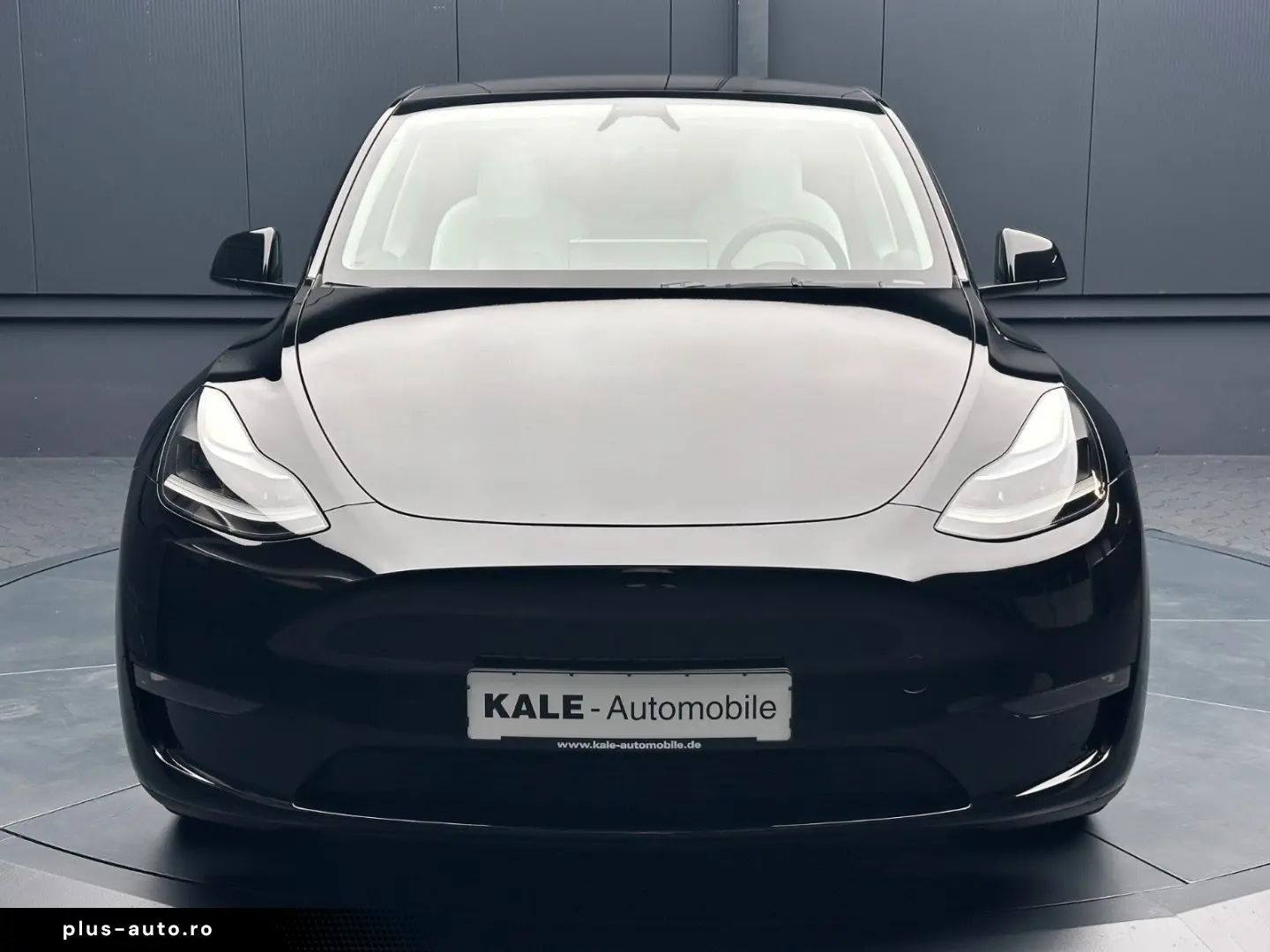 TESLA Model Y Performance Dual AWD