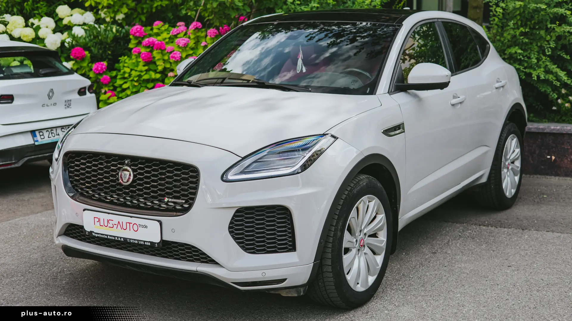 Jaguar E POZE