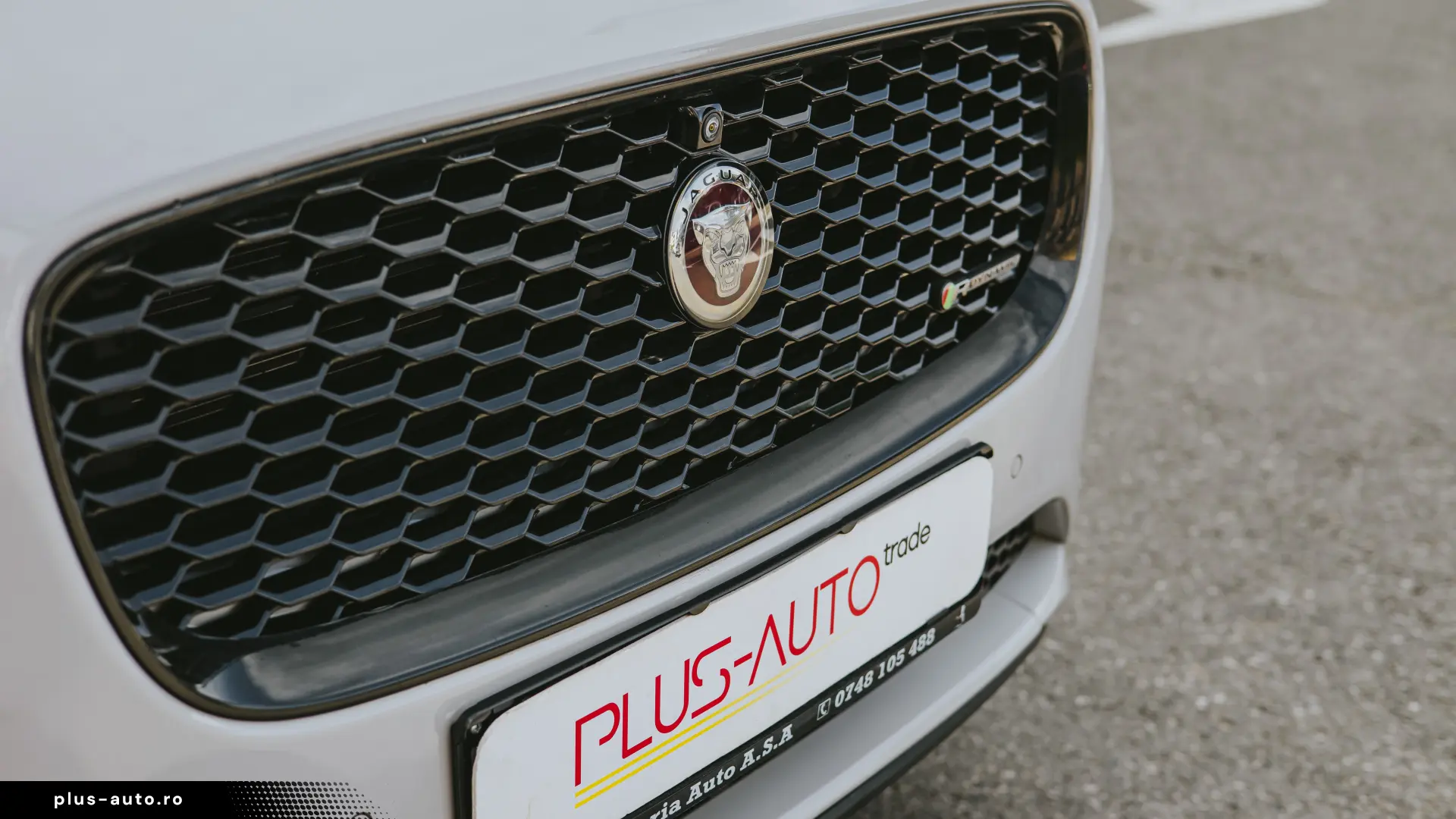 Jaguar E POZE