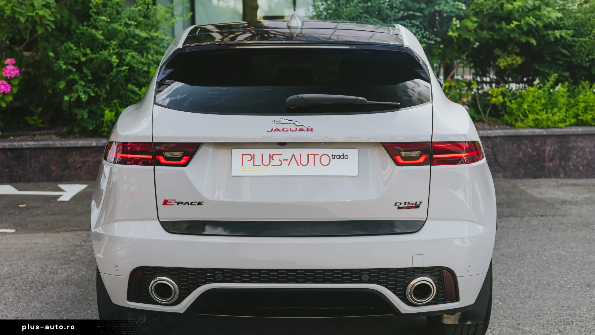 Jaguar E POZE