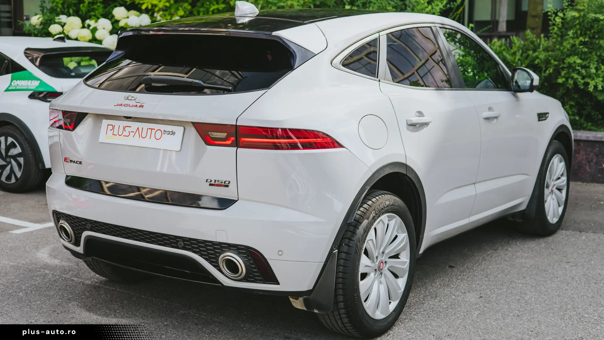 Jaguar E POZE
