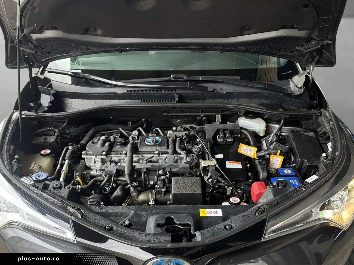 TOYOTA C-HR Hybrid Team D 1.8 16V Metallic