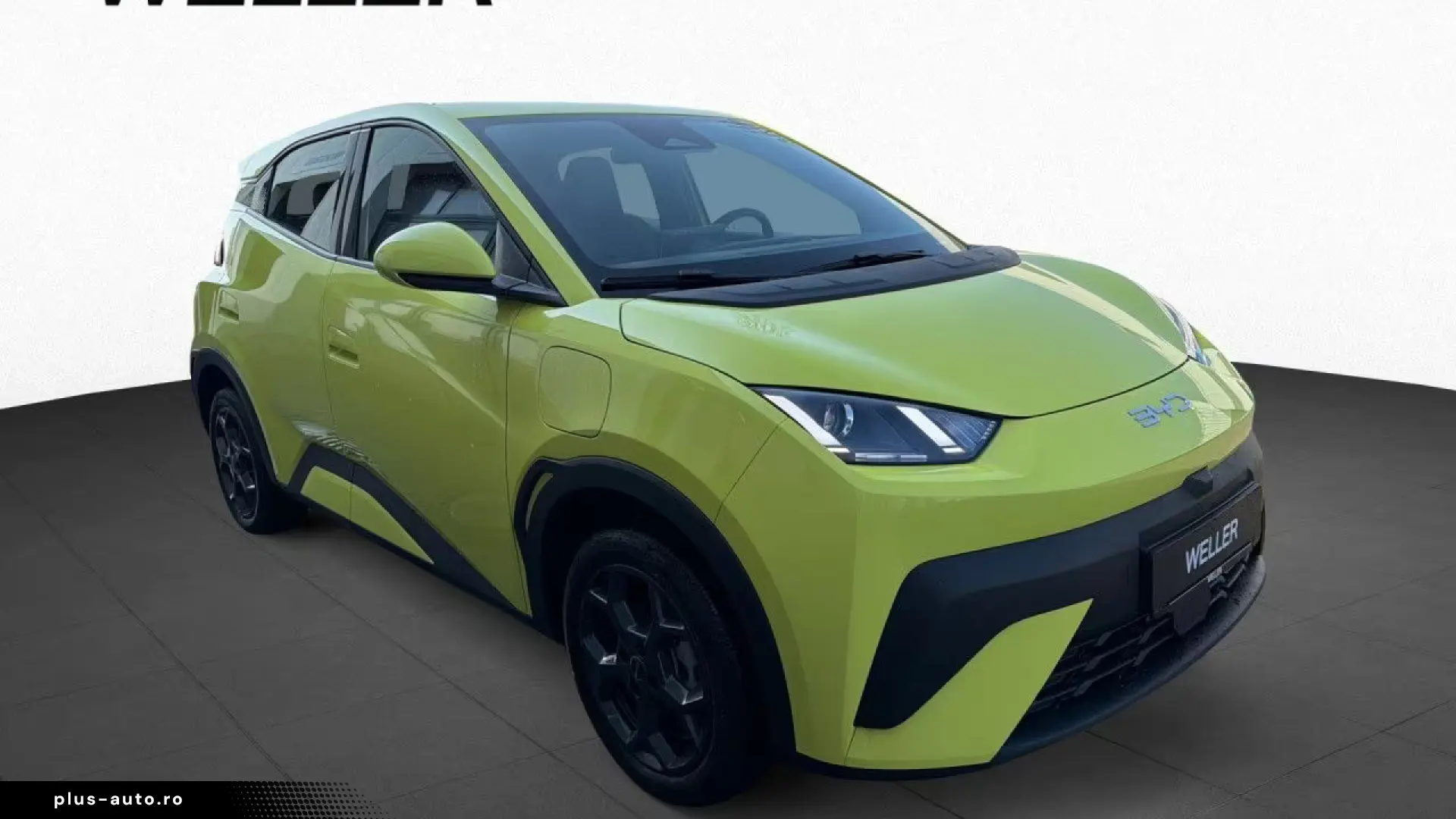 BYD DOLPHIN SURF BOOST