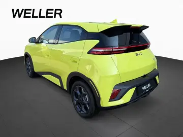 BYD DOLPHIN SURF BOOST